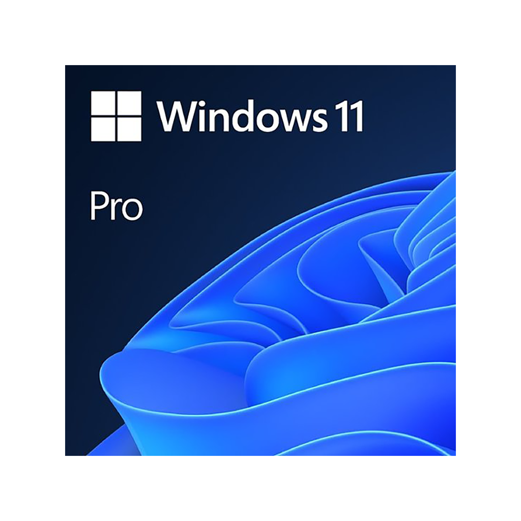 [FQC-10572] Microsoft Windows 11 Professional Single-User ESD License